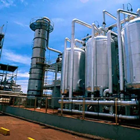 Profissional da área de Açúcar e Álcool