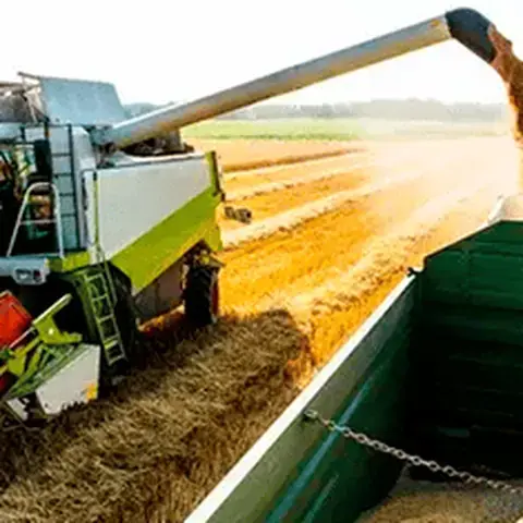 Profissional da área de Agroindústria
